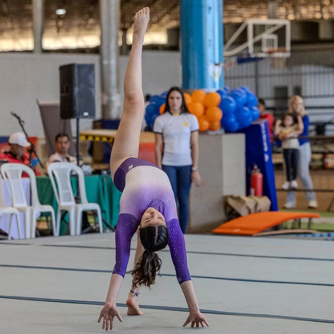 Elemento de flexibilidade na série de solo